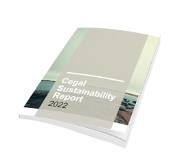 Cegal Sustainibility report- illustration book