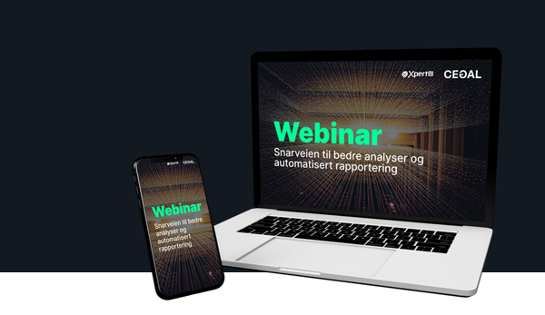 Banner_Påmeldingsside webinar_600x347