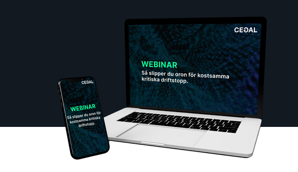 lp_Banner_webb_Cegal_Managed_Services_Webinar 600x347